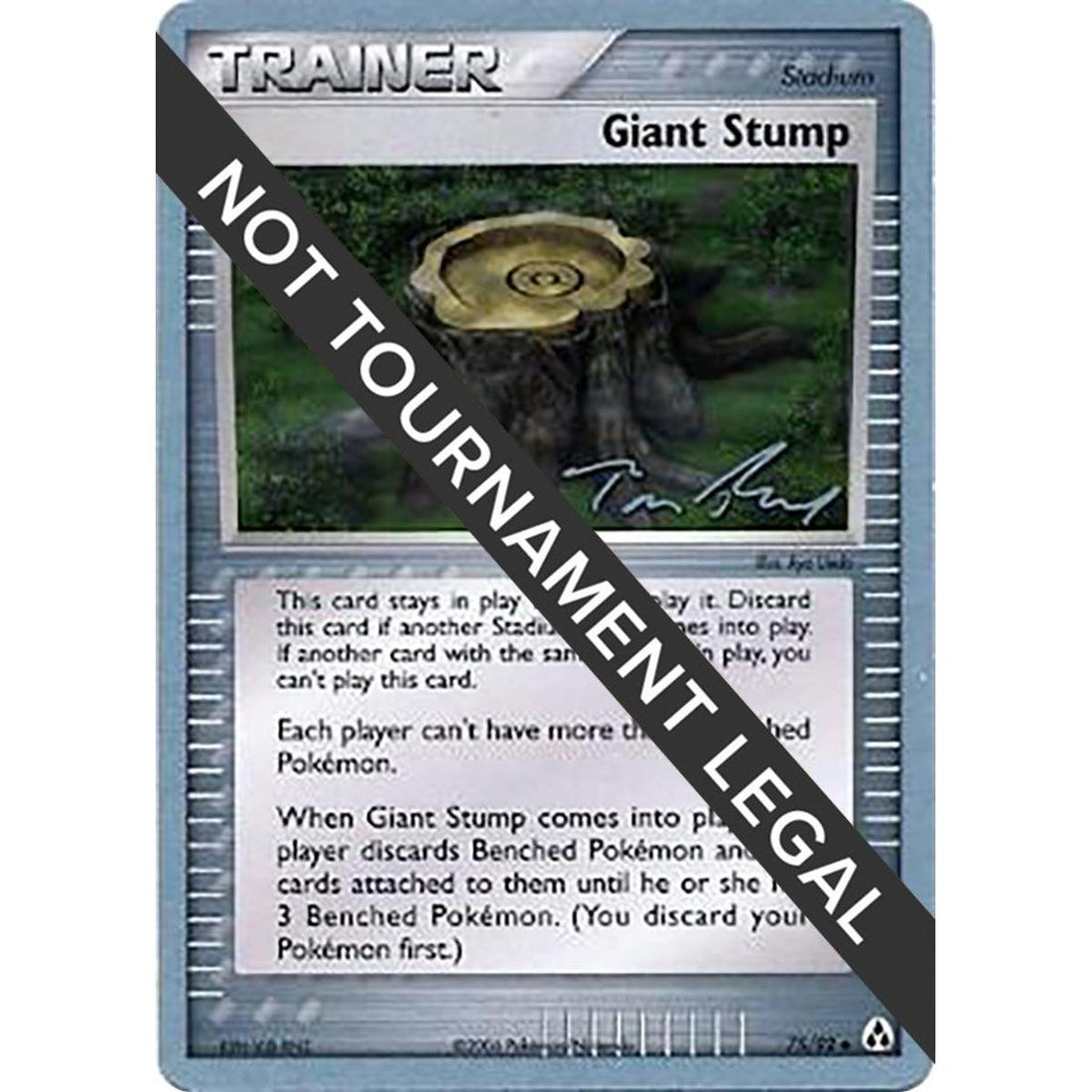Giant Stump - 2007 (Tom Roos)