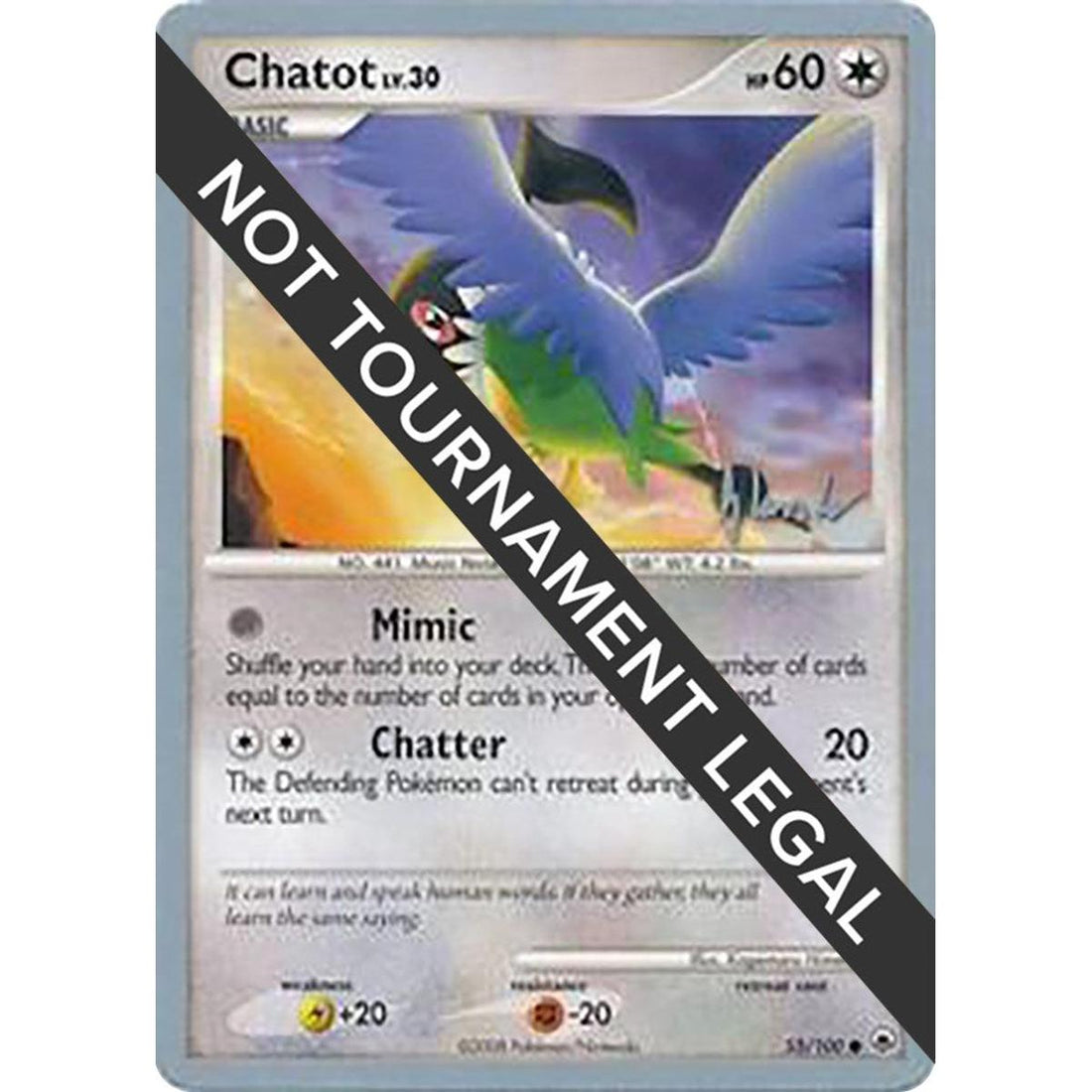 Chatot - 2008 (Dylan Lefavour)