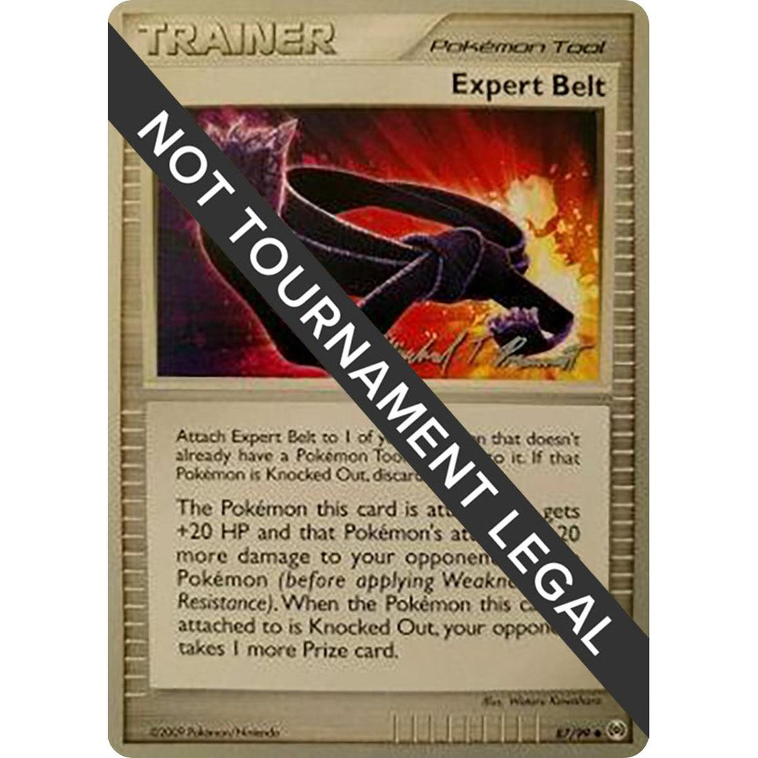 Expert Belt - 2010 (Michael Pramawat)