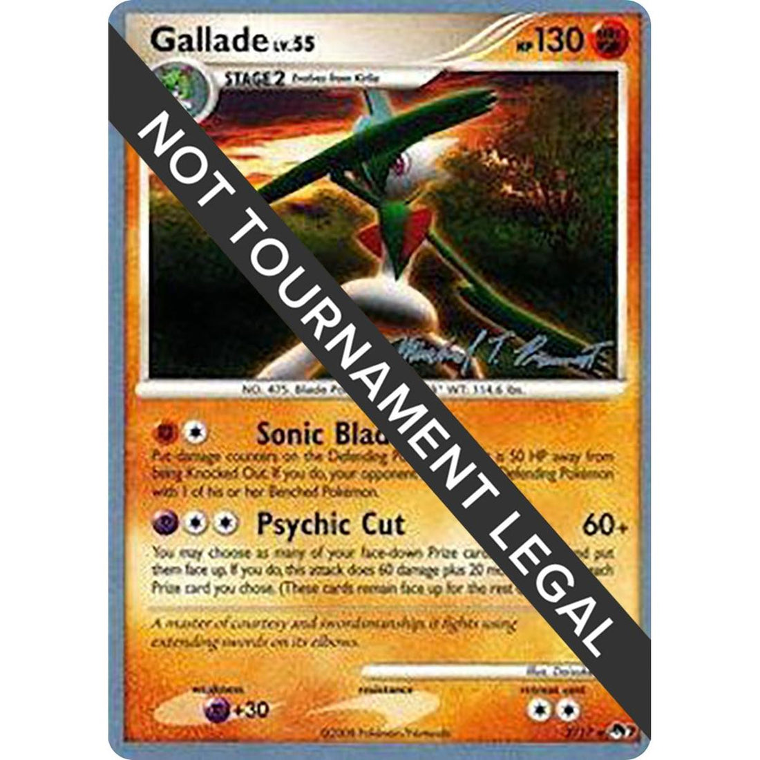 Gallade - 2010 (Michael Pramawat)
