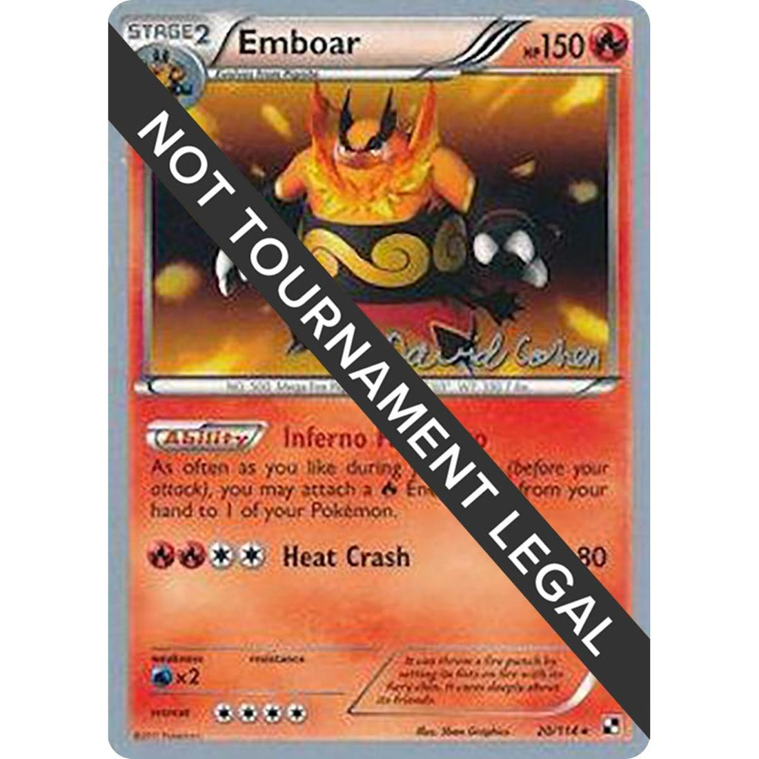 Emboar - 2011 (David Cohen)