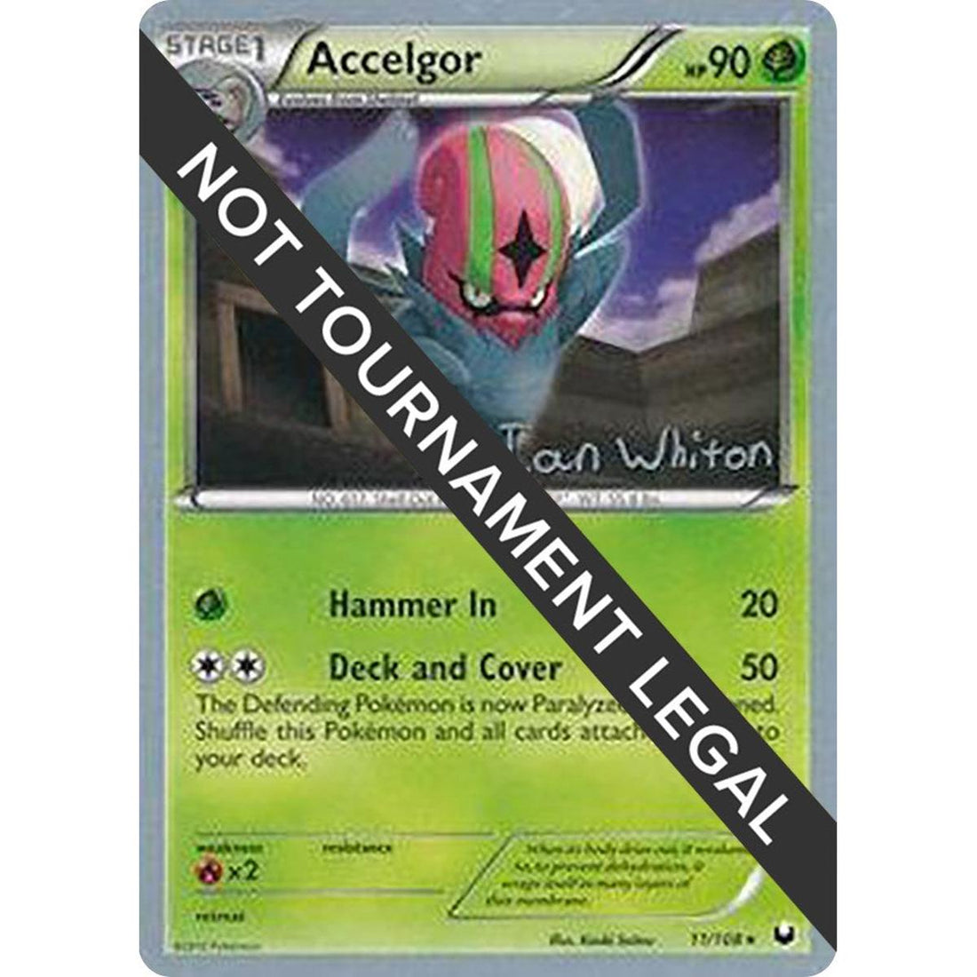 Accelgor - 2013 (Ian Whiton)
