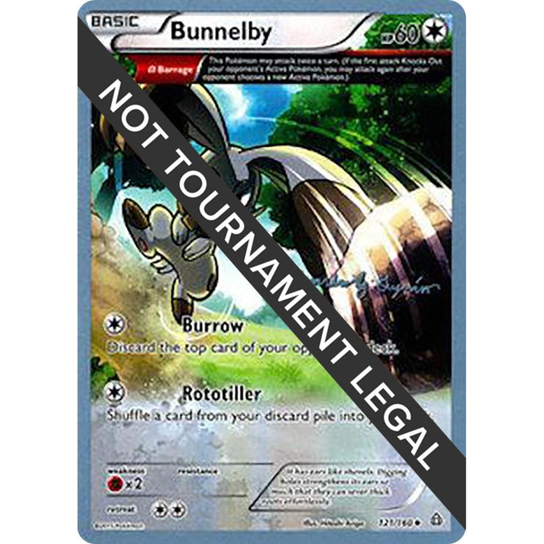 Bunnelby - 2015 (Alejandro Ng-Guzman)