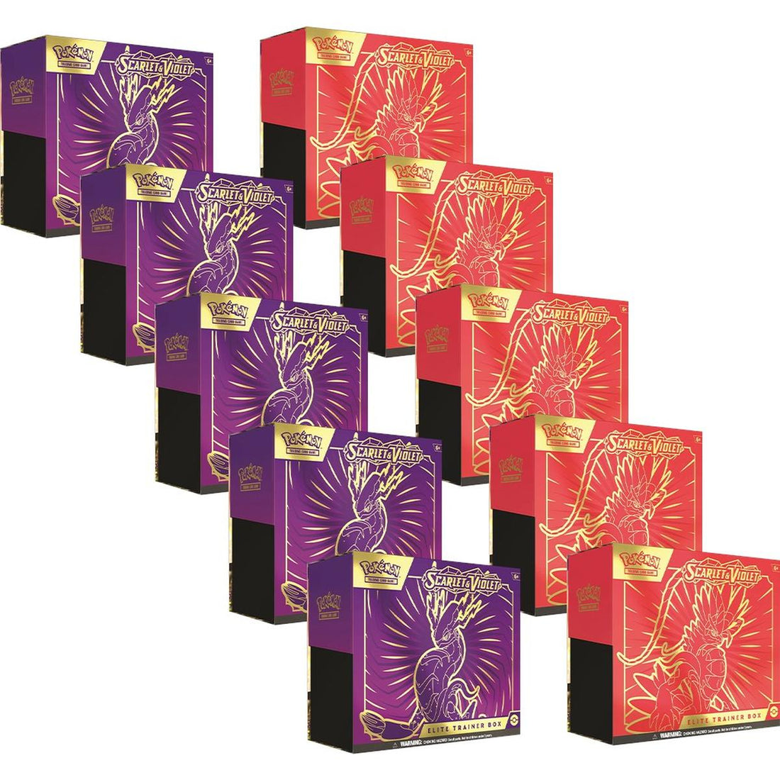 Scarlet & Violet Elite Trainer Box Case