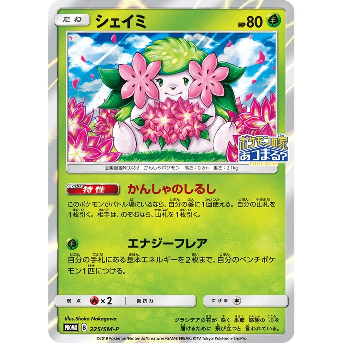 Shaymin SM P JP Exclusive