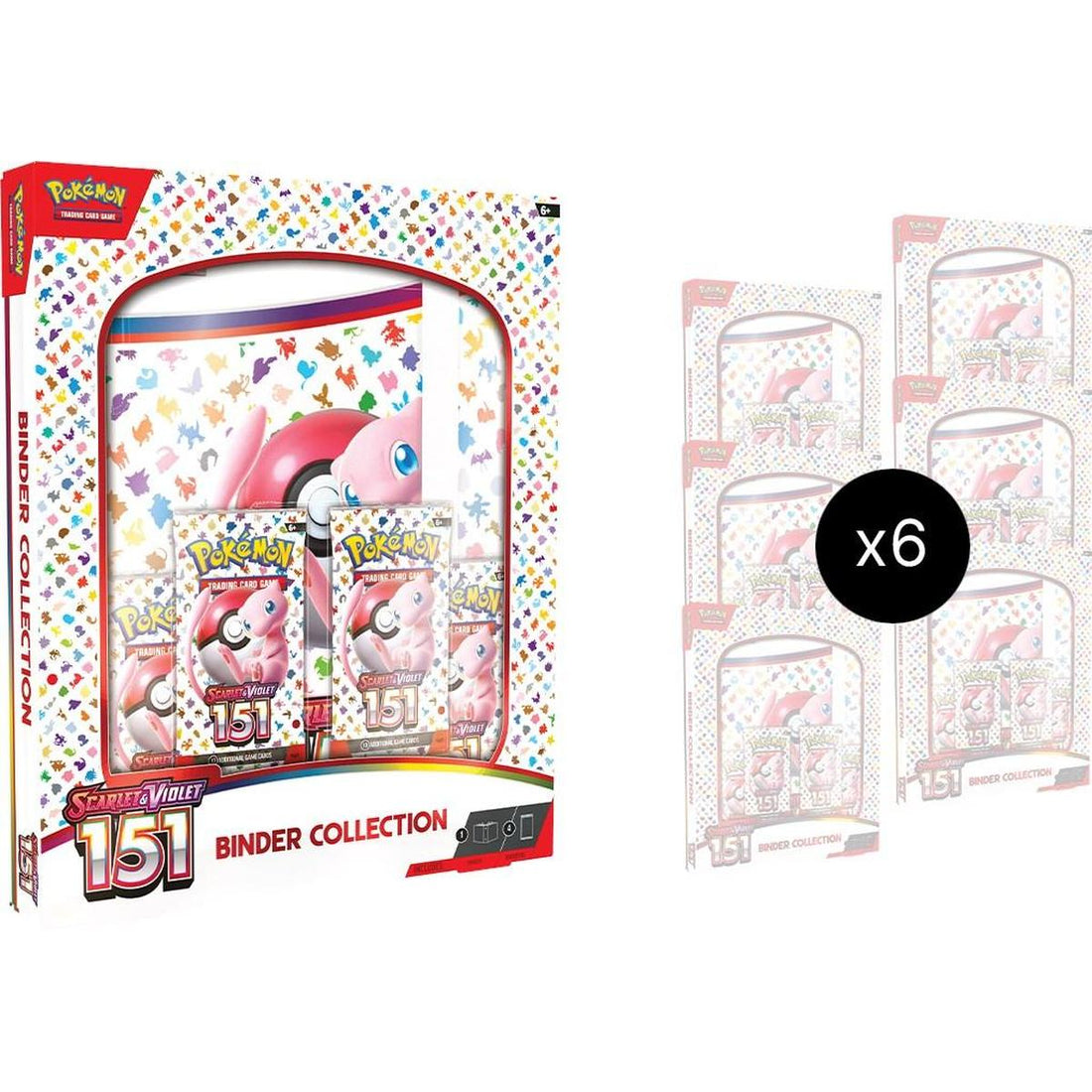 151 Binder Collection Case