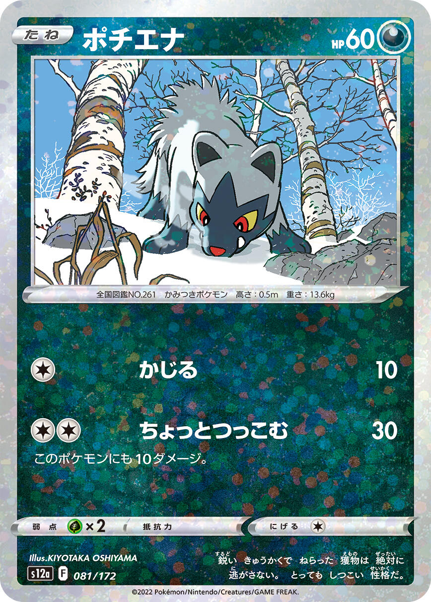 Poochyena - 081/172 (Mirror Holofoil)