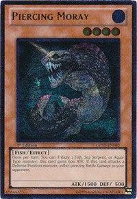 Piercing Moray (UTR)