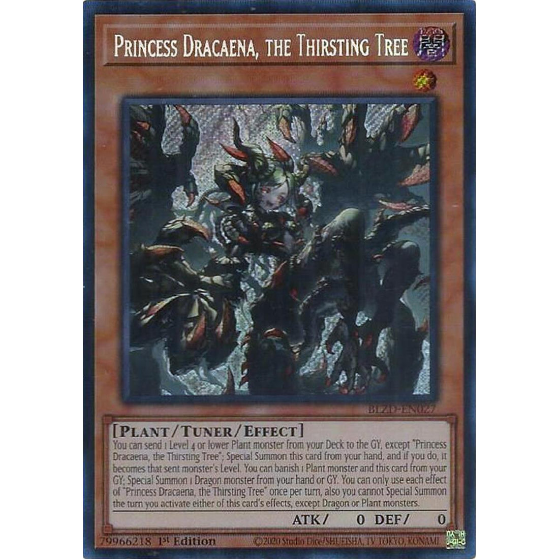 Princess Dracaena, the Thirsting Tree