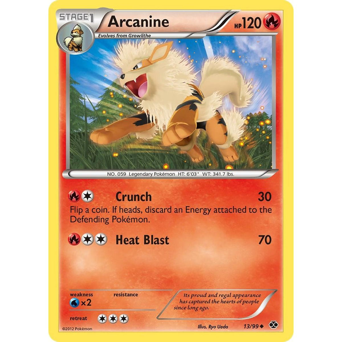 Arcanine (13)