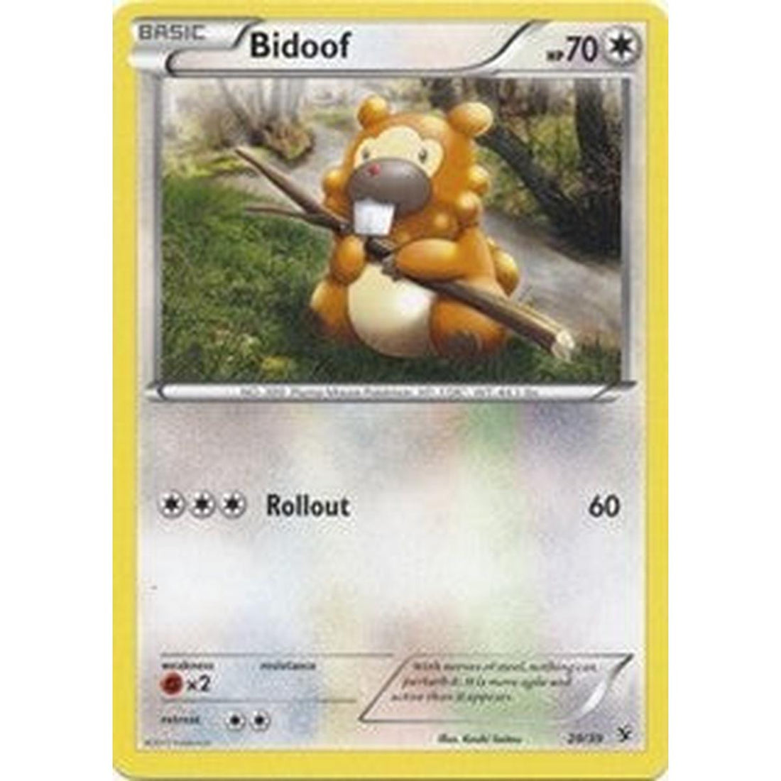 Bidoof