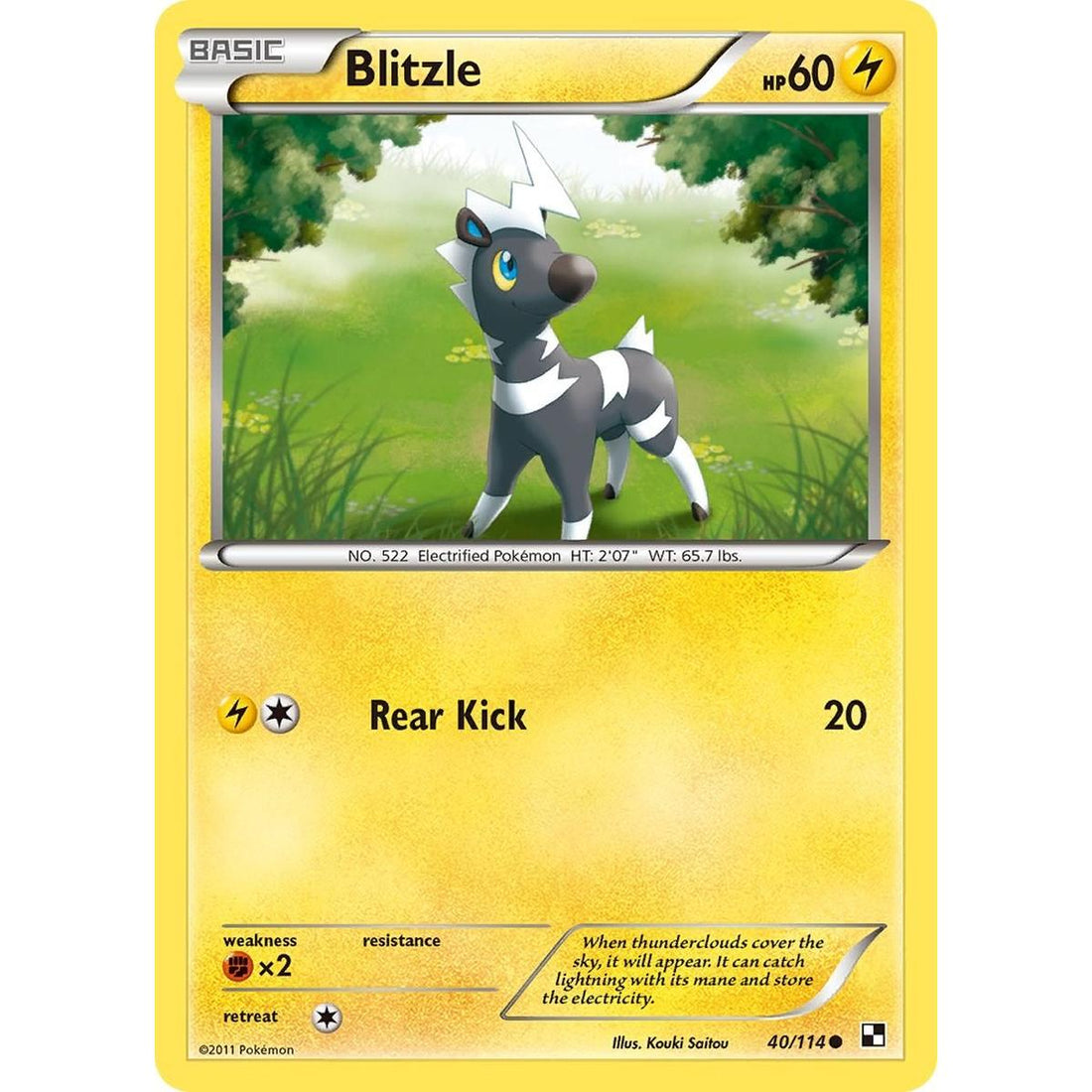 Blitzle (40)