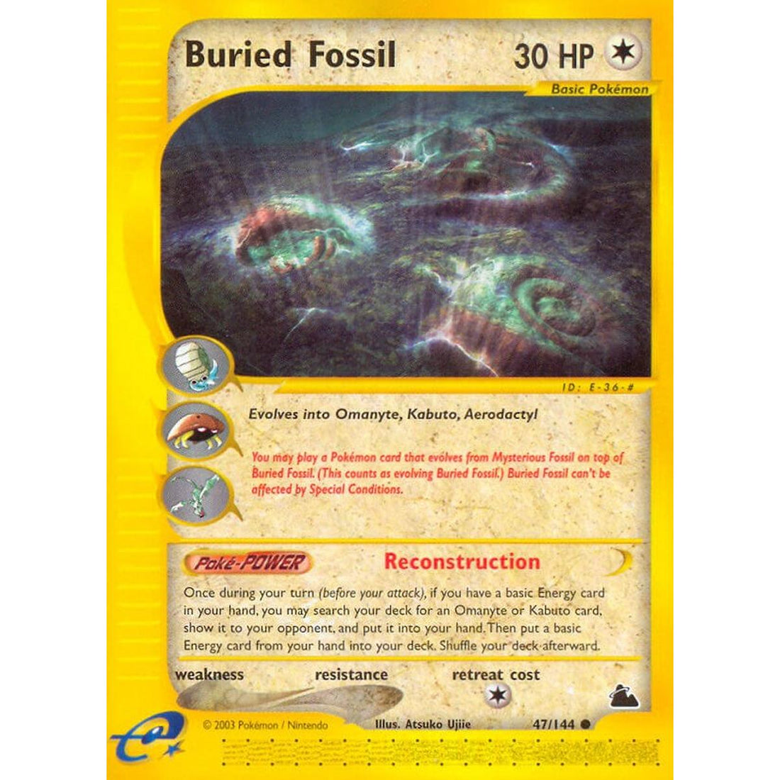 Buried Fossil