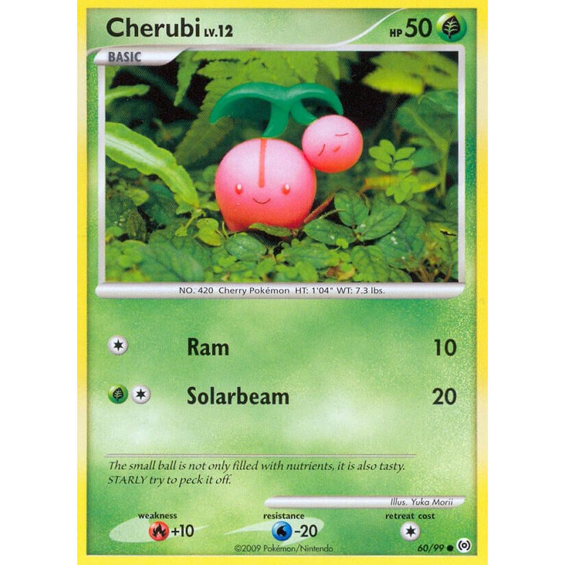 Cherubi