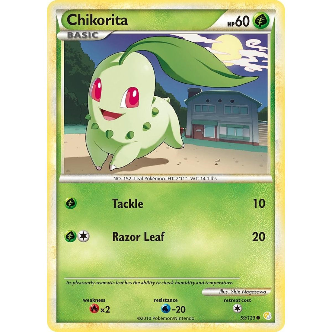 Chikorita