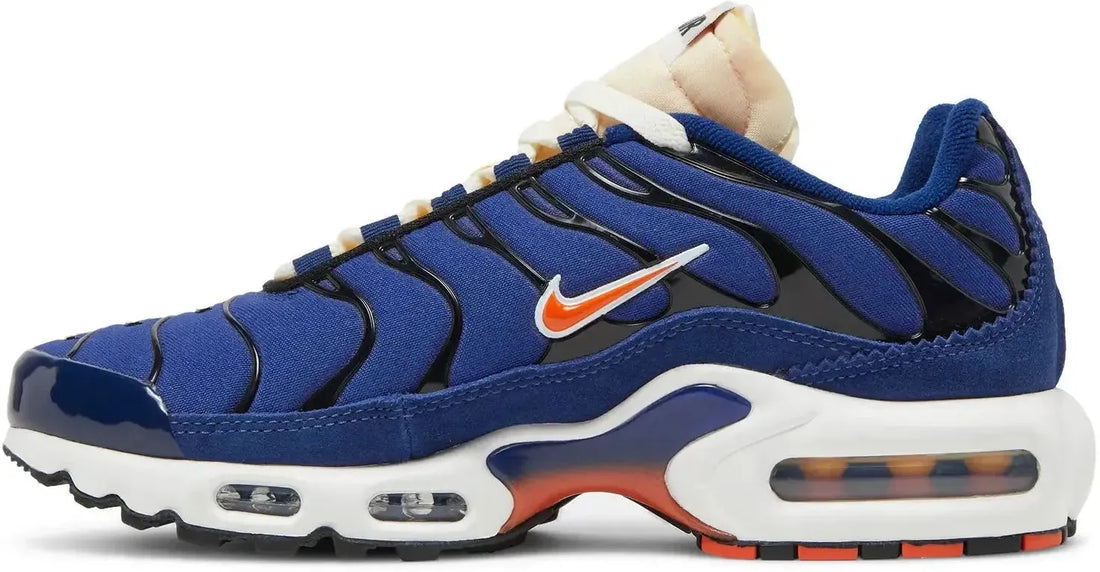 Nike Air Max Plus SE Air Max Running Club