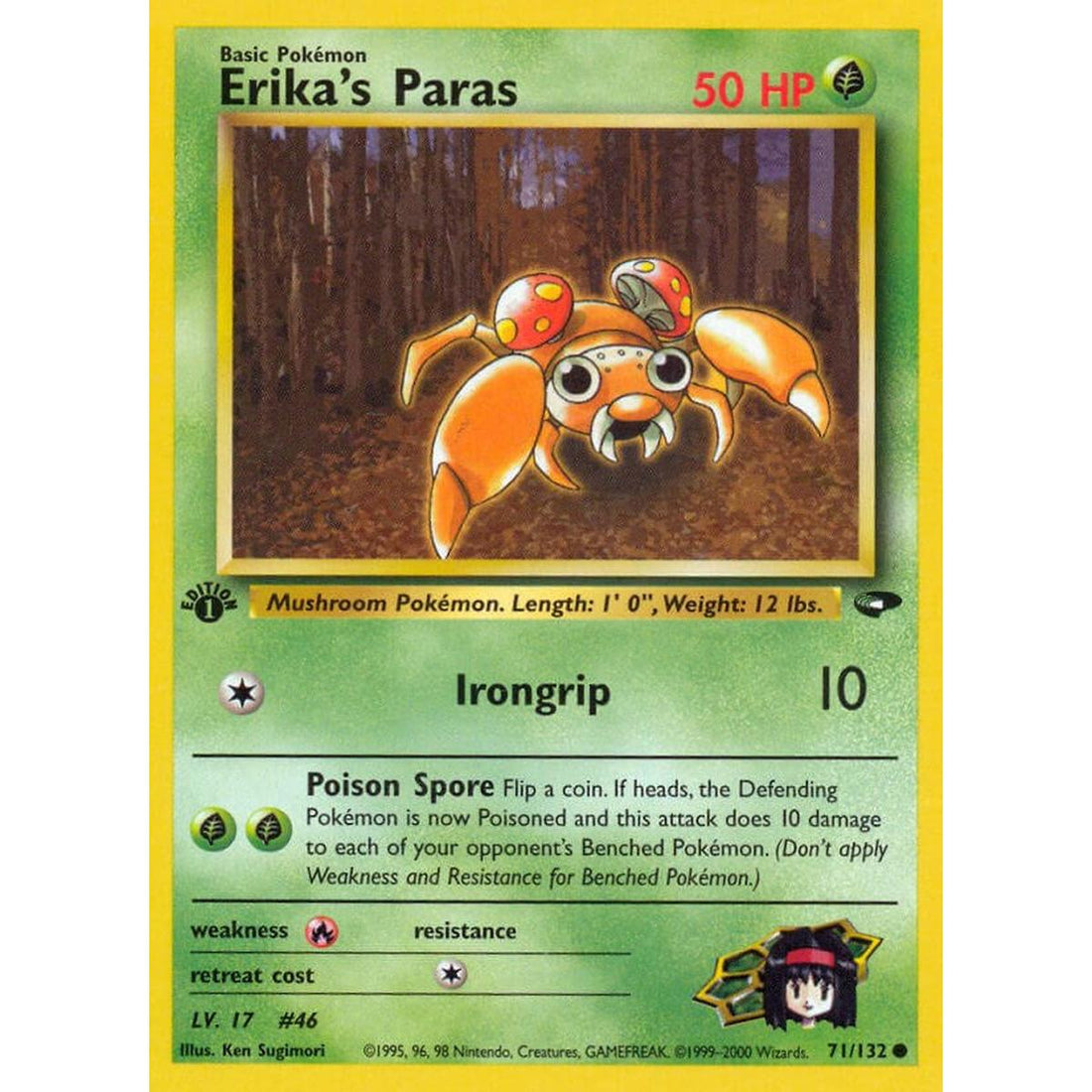 Erika's Paras
