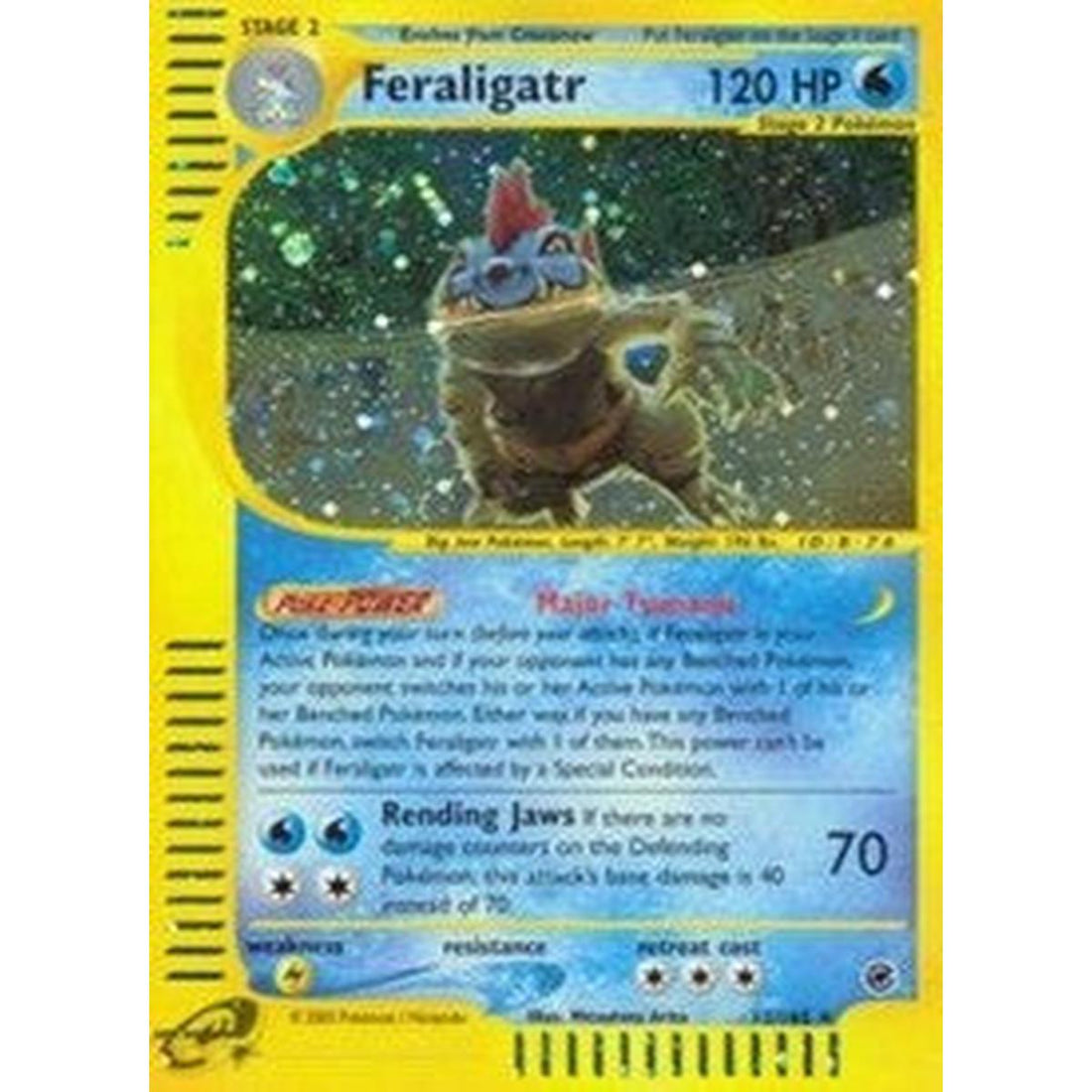 Feraligatr (12)