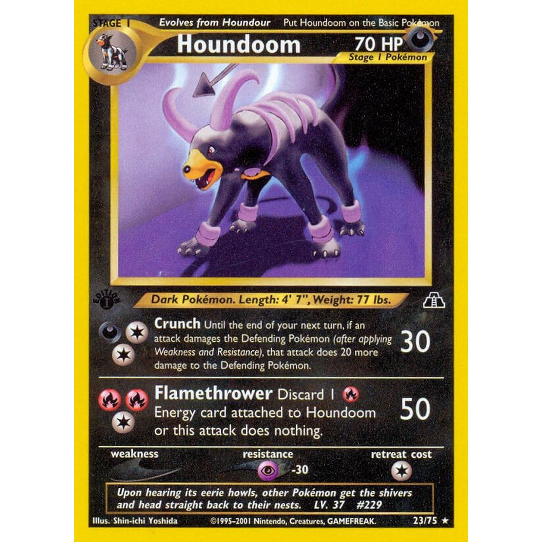 Houndoom (23)