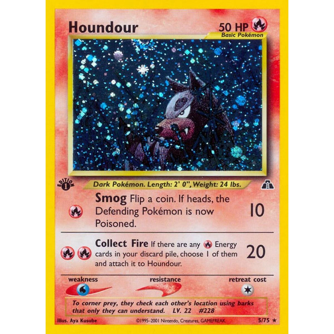 Houndour (5)