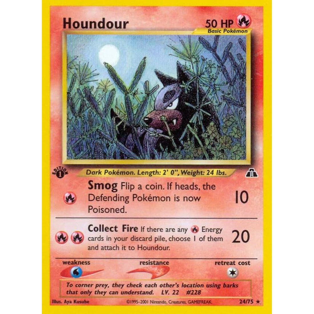 Houndour (24)