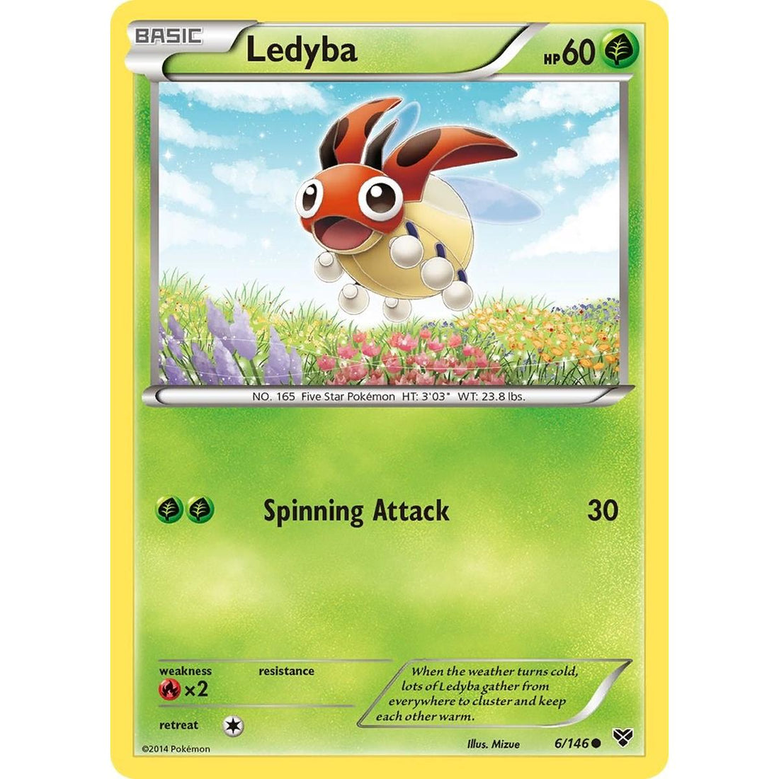 Ledyba