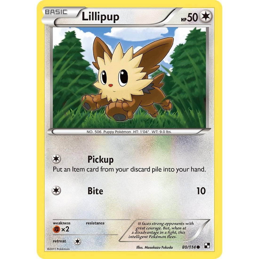 Lillipup (80)