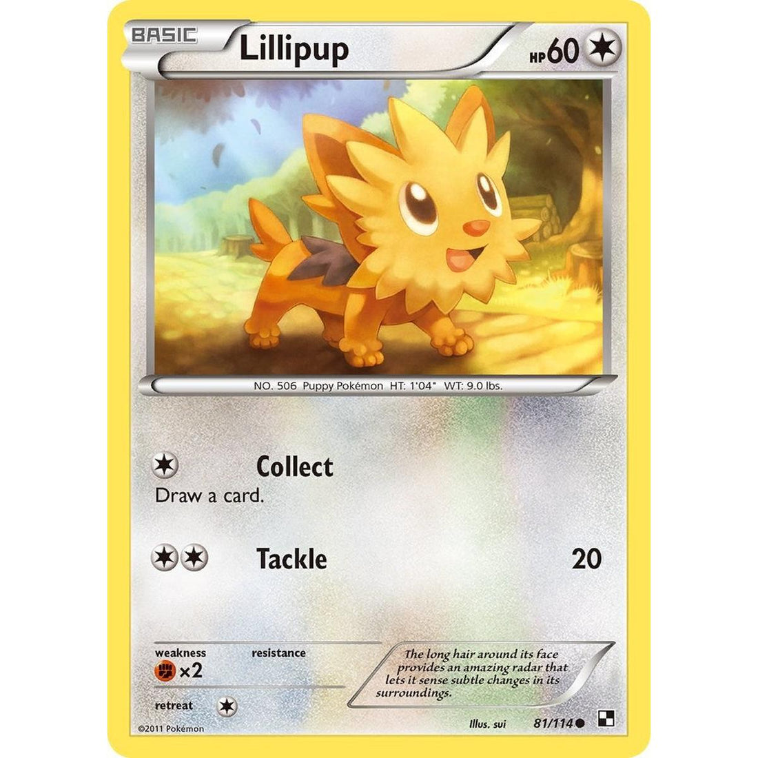 Lillipup (81)