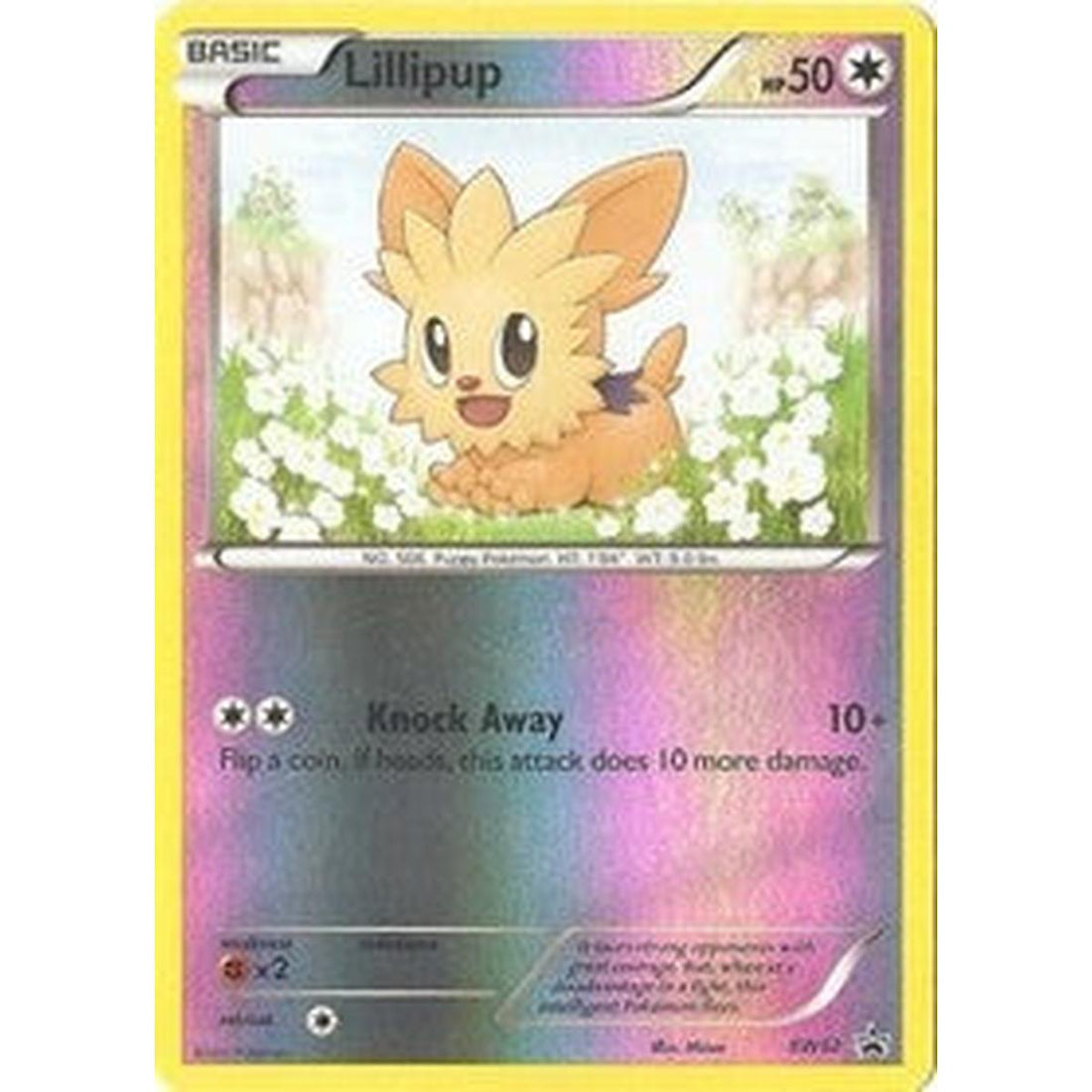 Lillipup - BW52