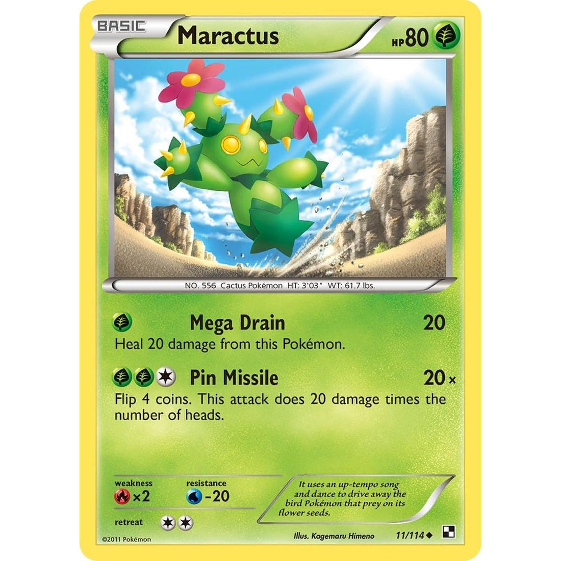 Maractus (11)