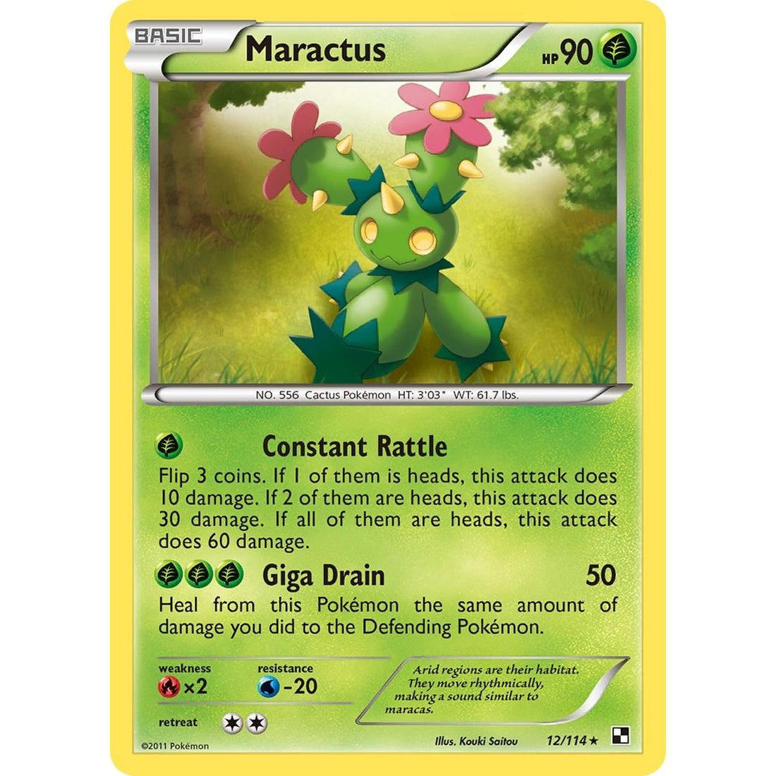 Maractus (12)
