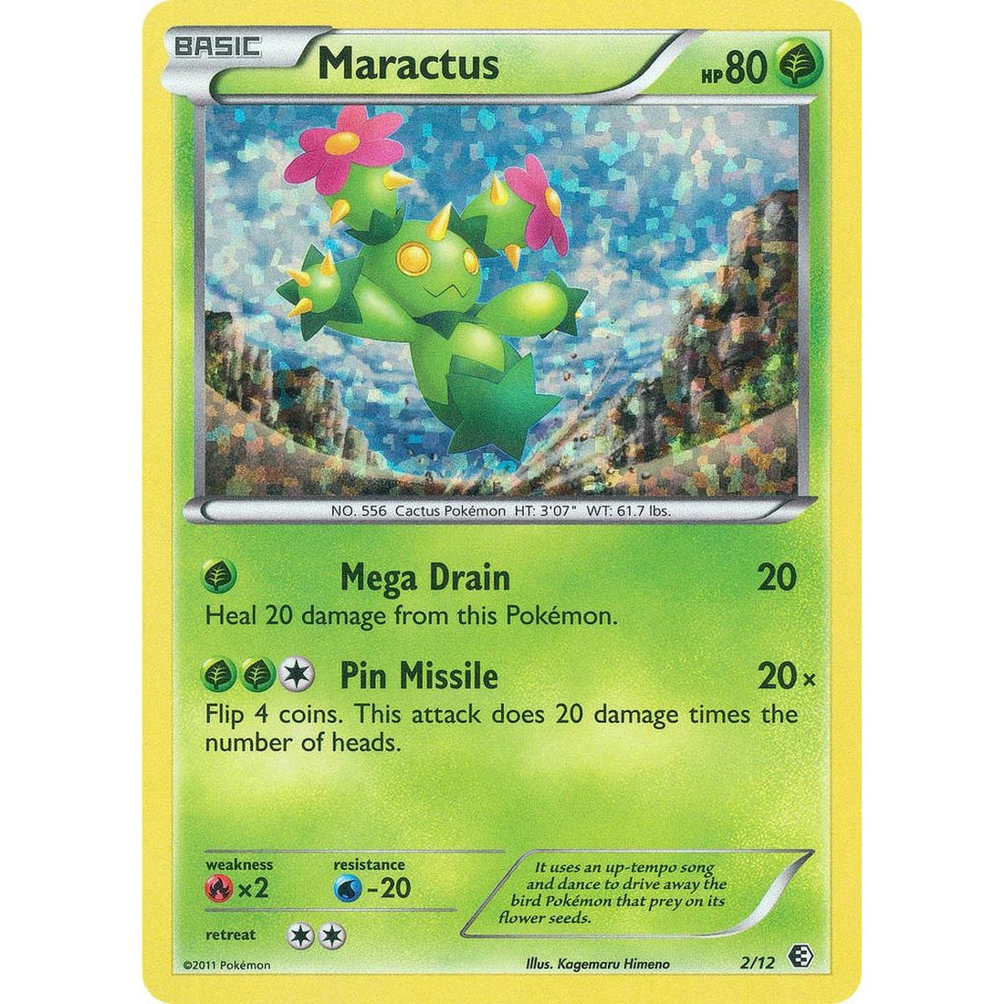Maractus - 2/12