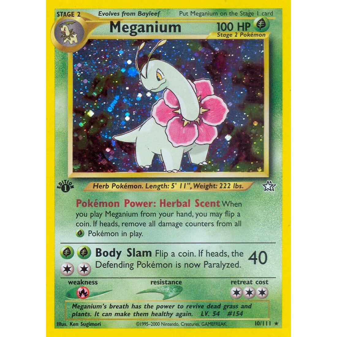 Meganium (10)