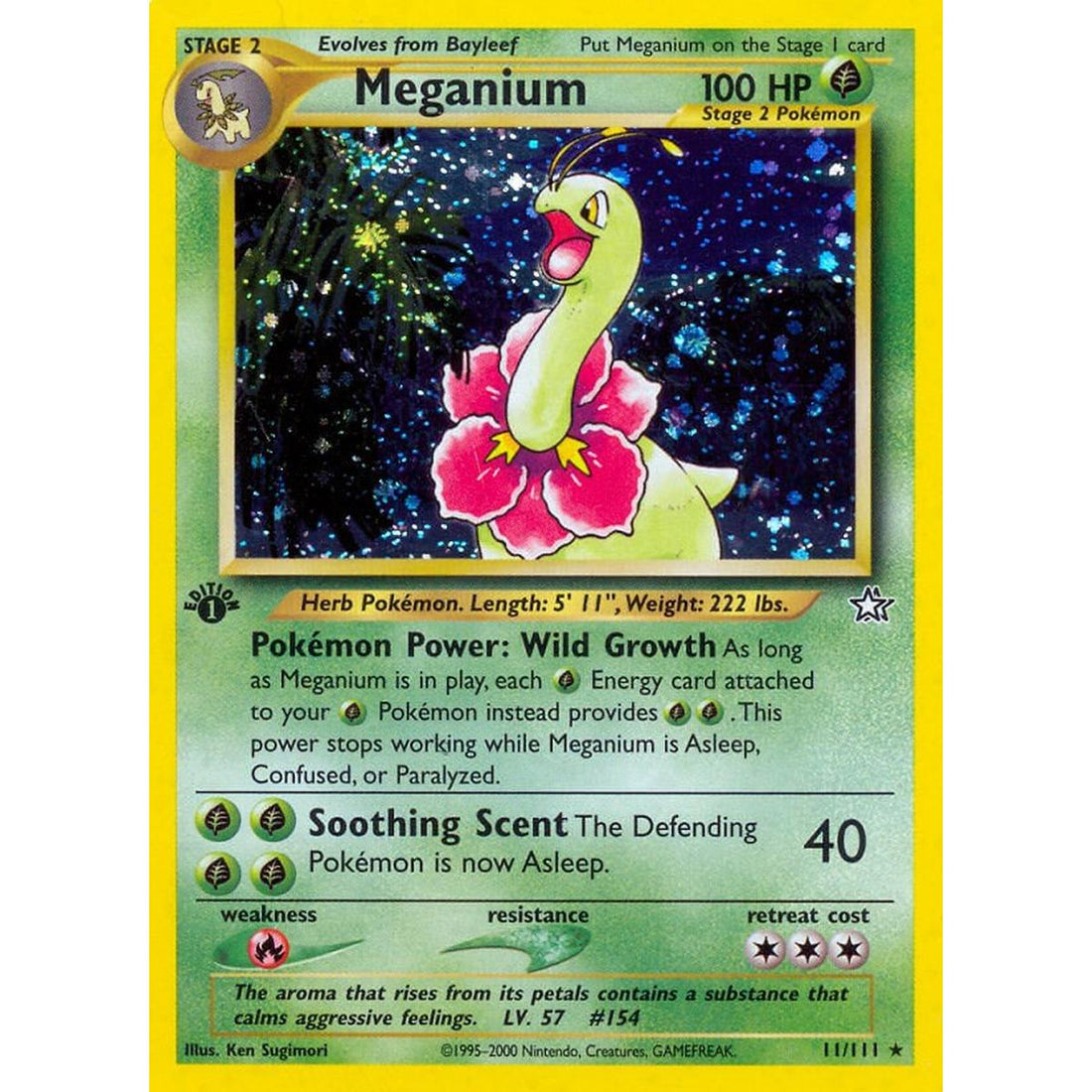 Meganium (11)