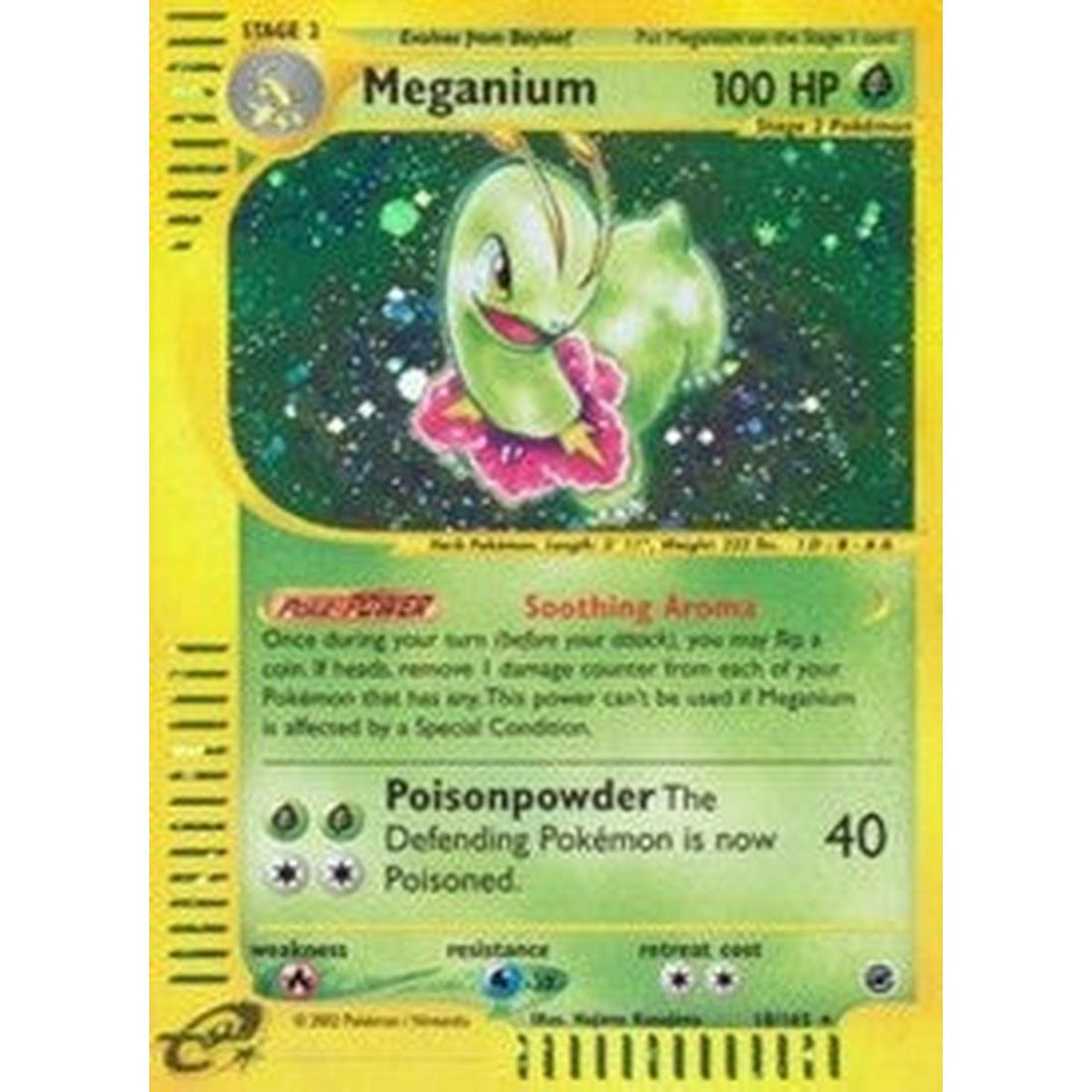 Meganium (18)