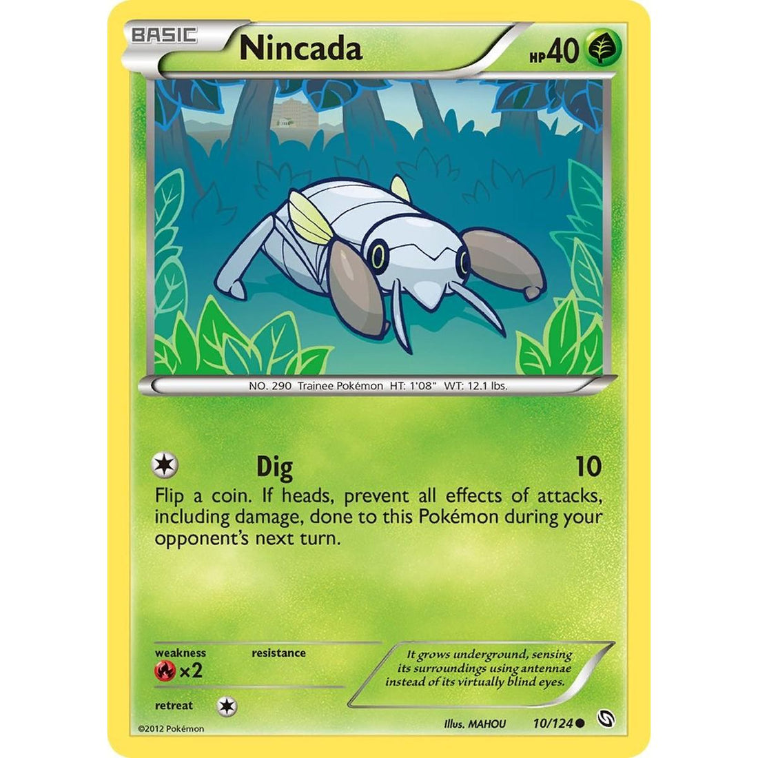 Nincada