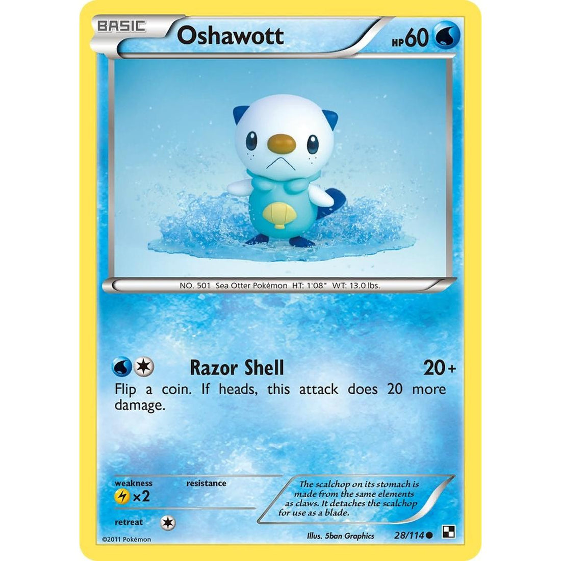 Oshawott (28)