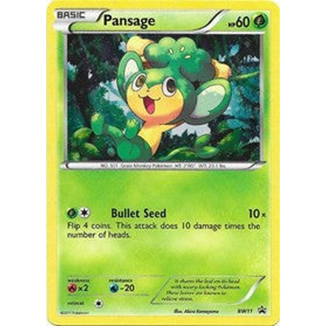 Pansage - BW11