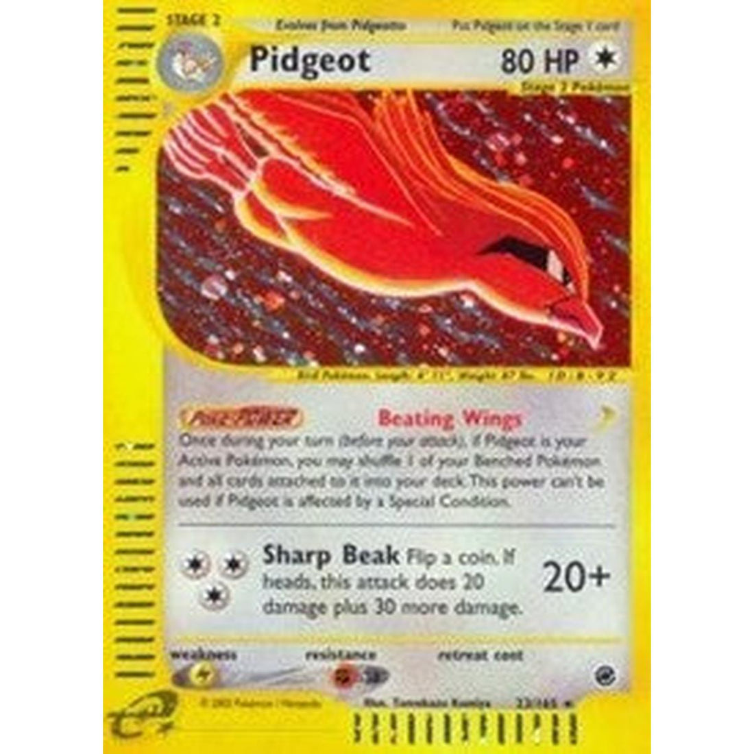 Pidgeot (23)