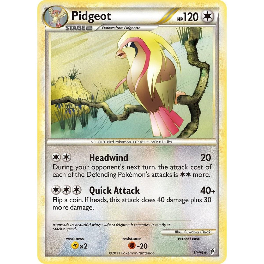 Pidgeot