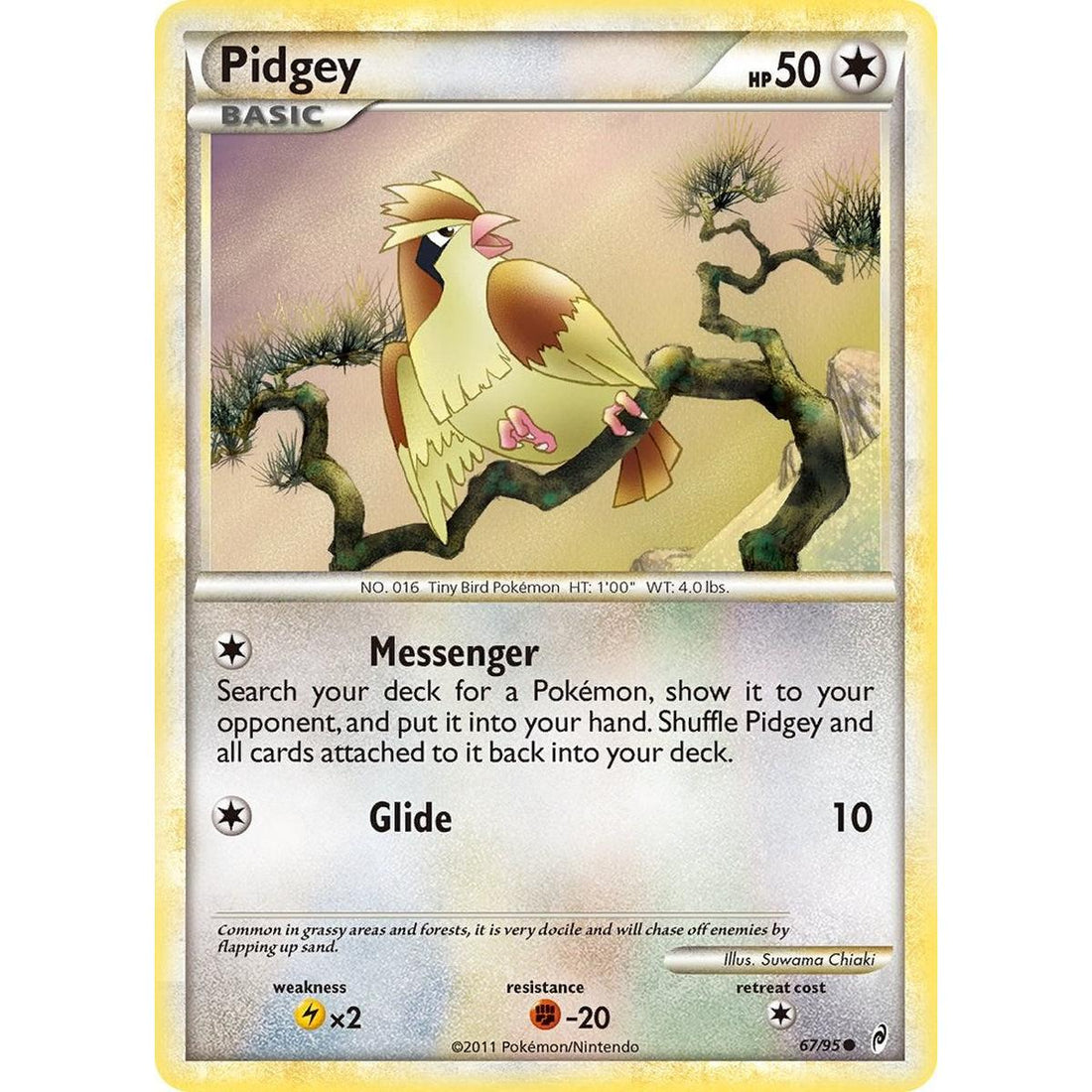 Pidgey