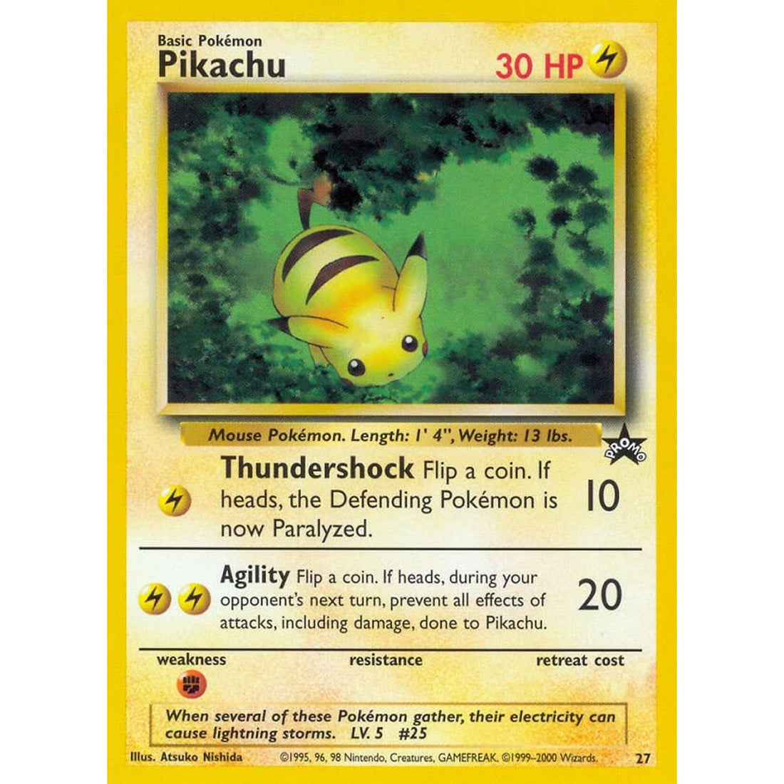 Pikachu (27)