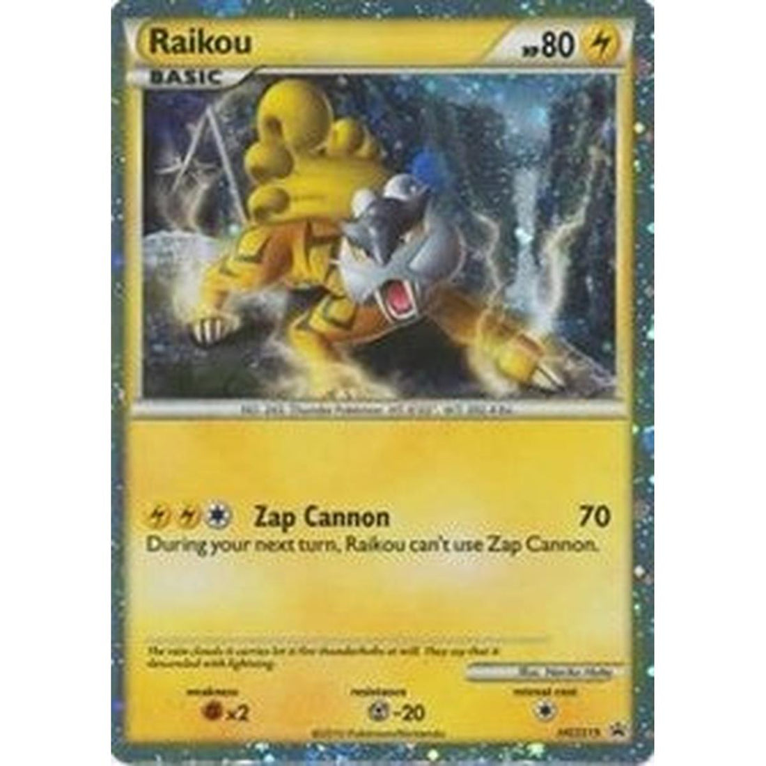 Raikou - HGSS19