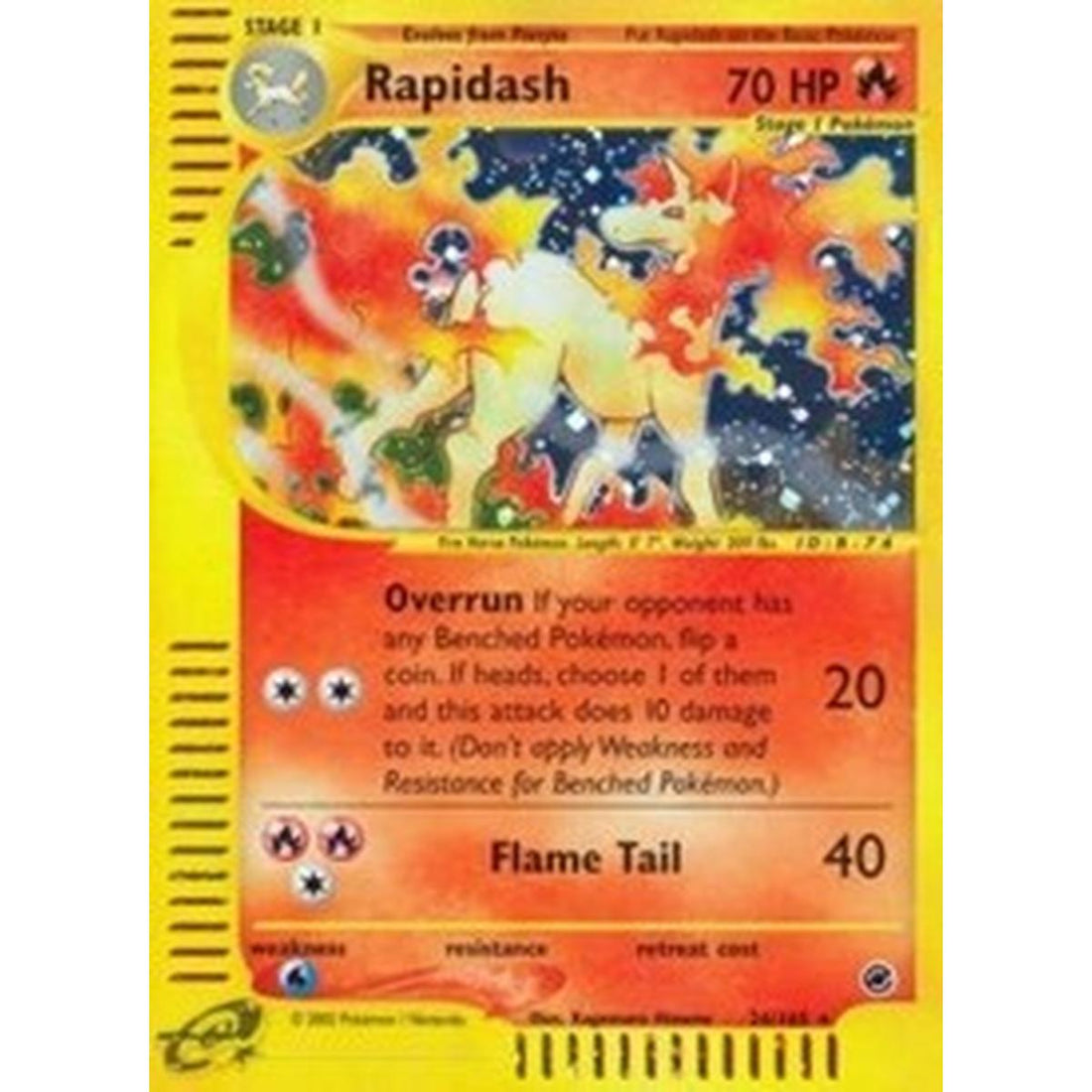 Rapidash (26)