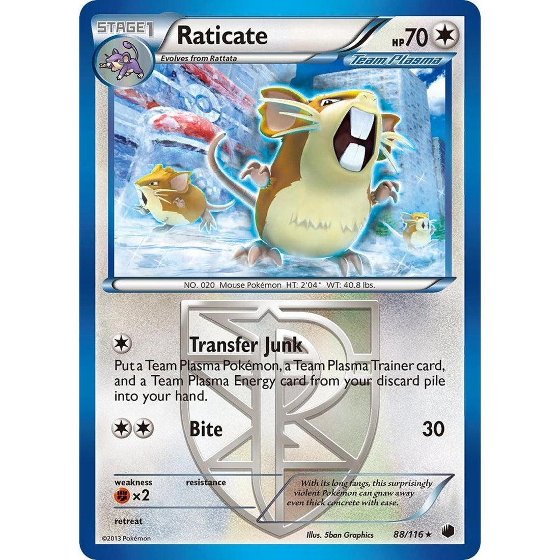 Raticate (Team Plasma)
