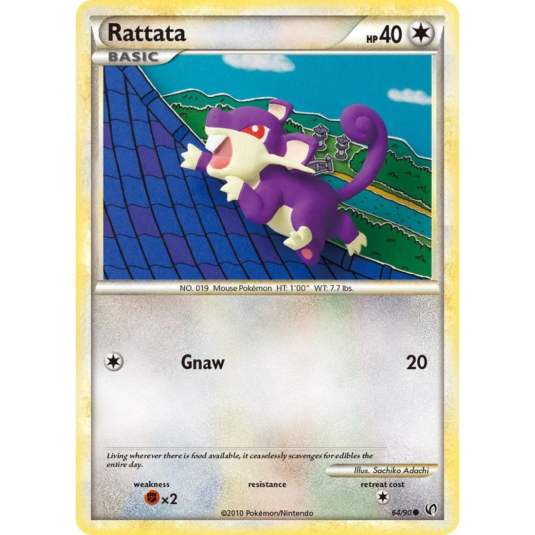 Rattata