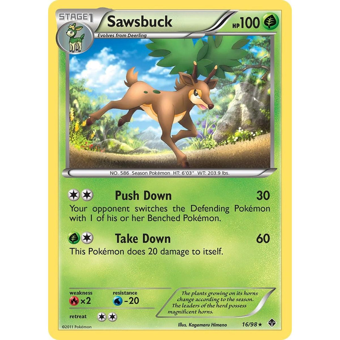 Sawsbuck