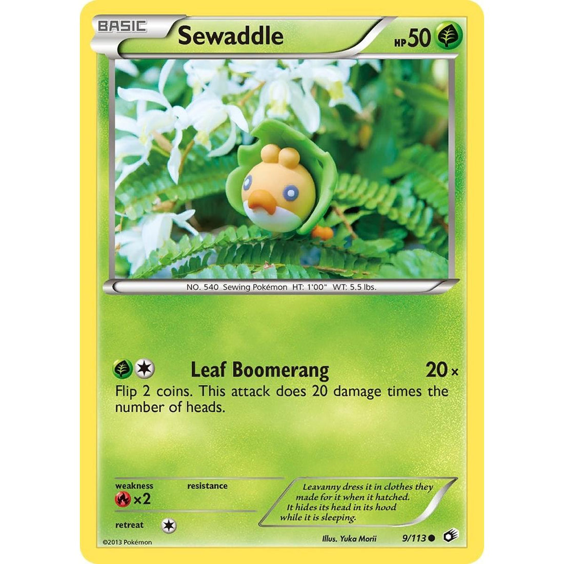 Sewaddle (9)