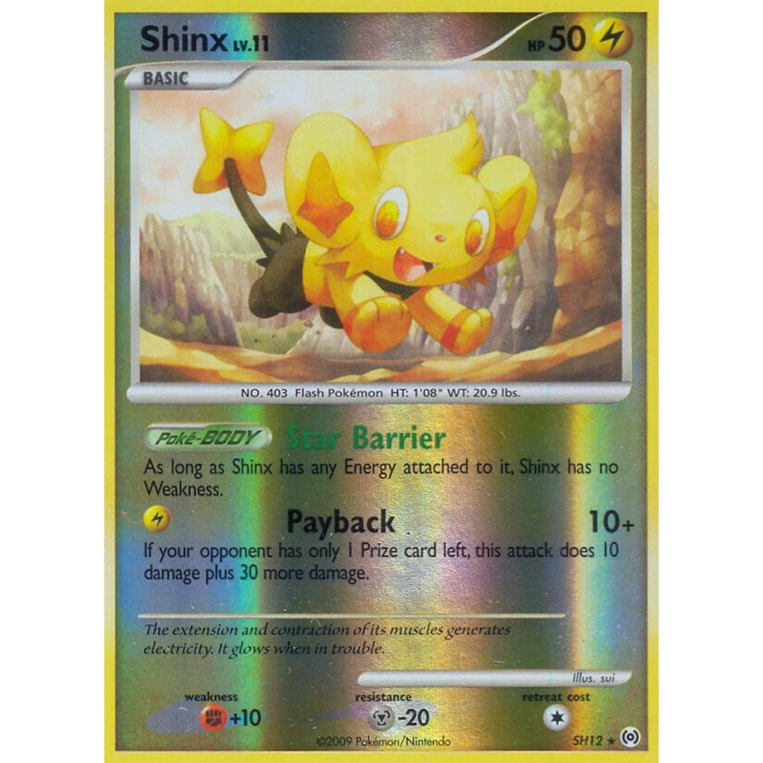 Shinx (Shiny)