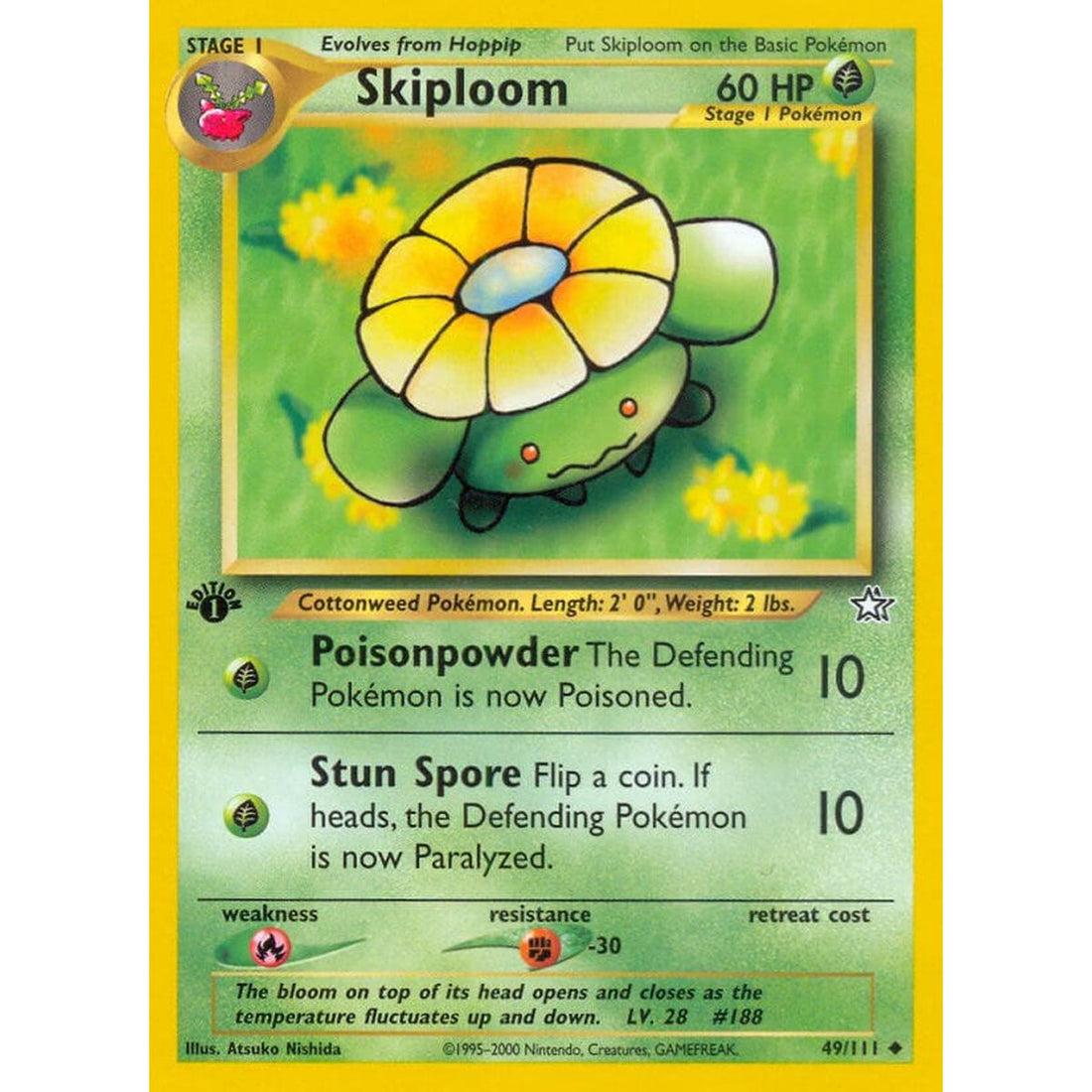 Skiploom
